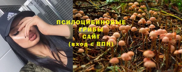 эйфоретик Алзамай