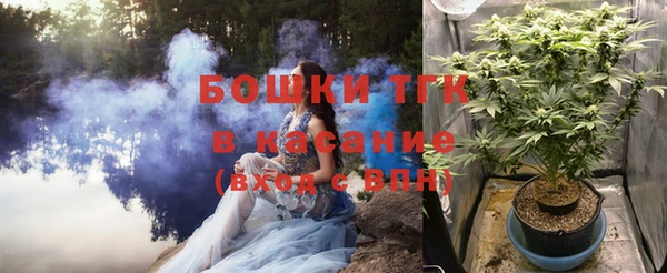 эйфоретик Алзамай