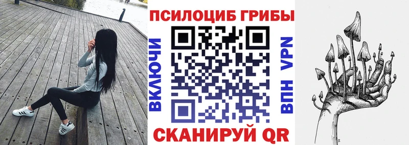 Псилоцибиновые грибы Psilocybe  MEGA сайт  Малоархангельск  наркошоп 